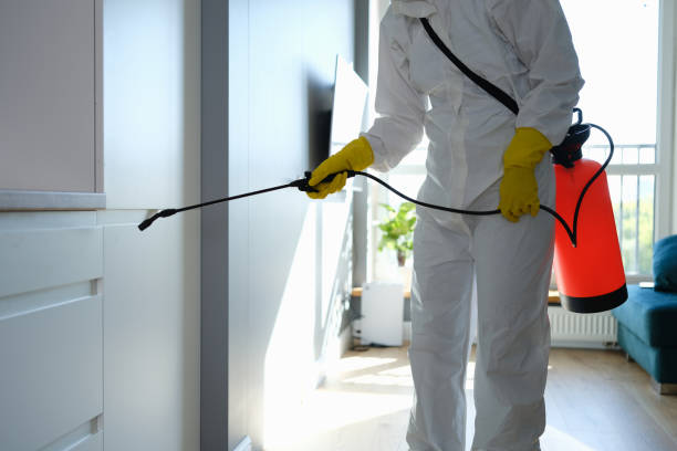 Best Emergency Mold Removal  in Honeygo, MD